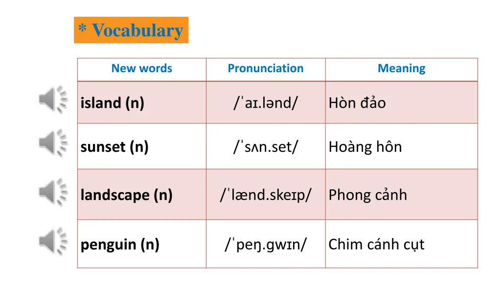 vocabulary 4