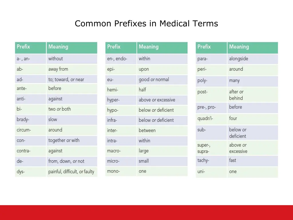 common prefixes in medical terms