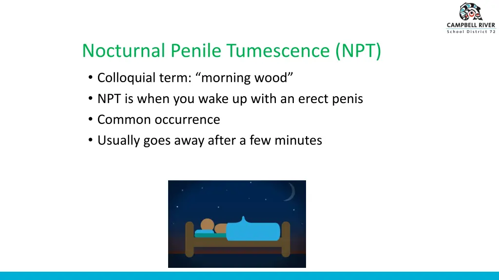 nocturnal penile tumescence npt colloquial term