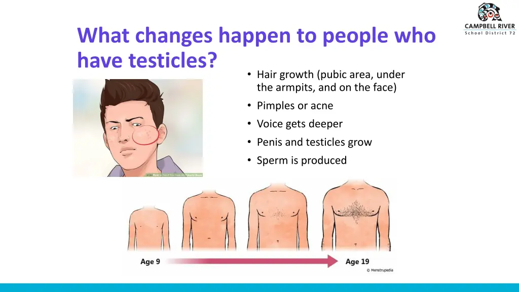 what changes happen to people who have testicles