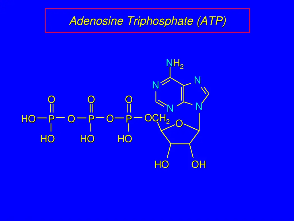 adenosine triphosphate atp