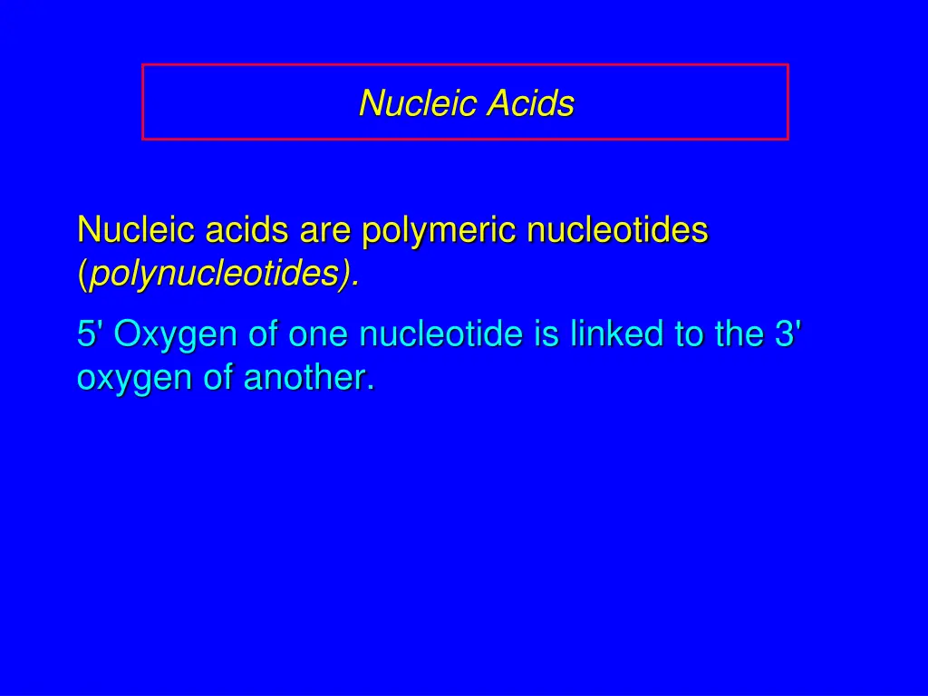 nucleic acids