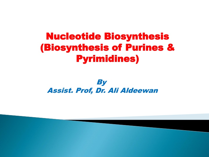 nucleotide biosynthesis nucleotide biosynthesis
