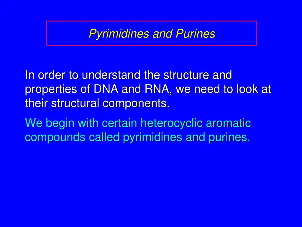 pyrimidines and purines 1