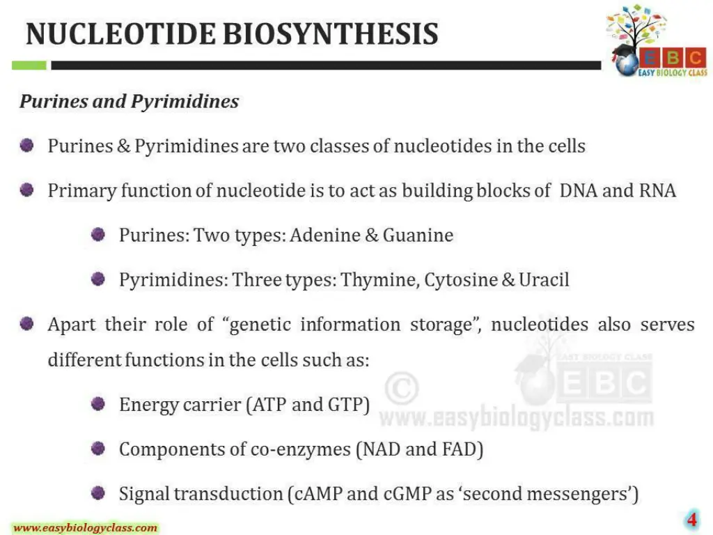 slide13