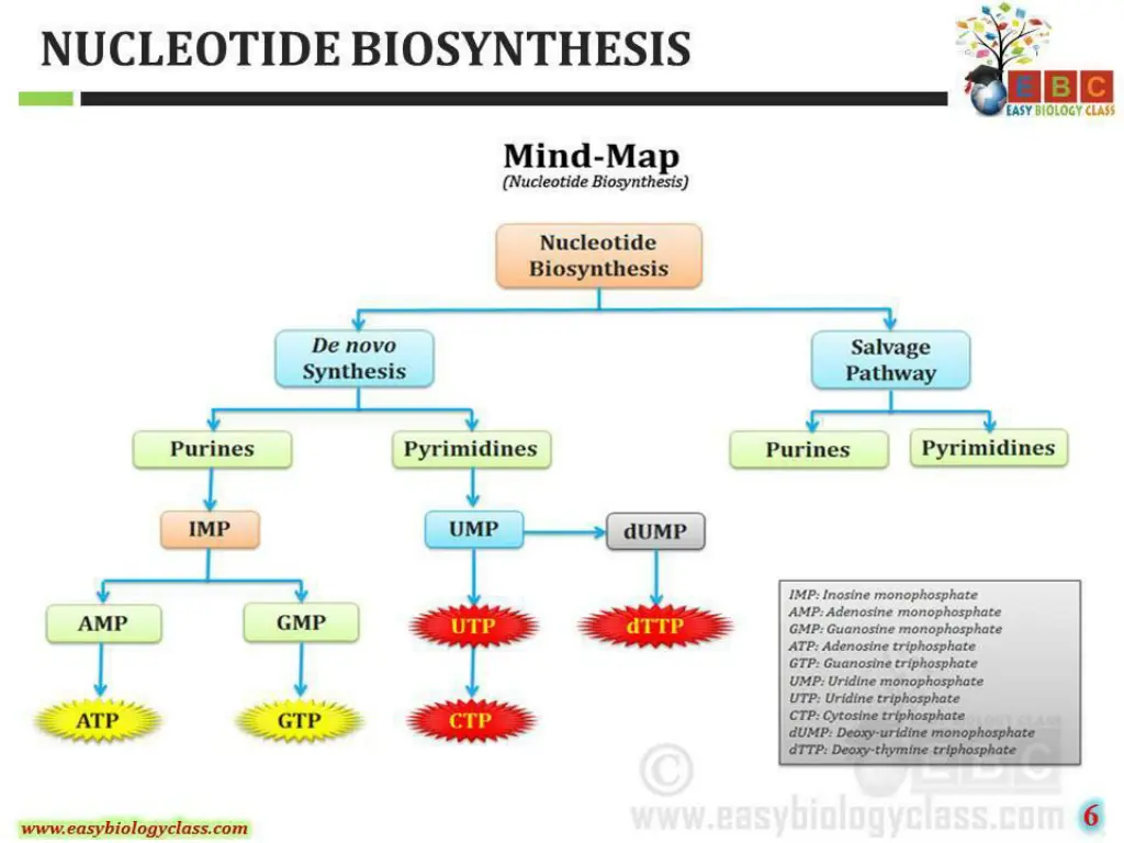 slide15