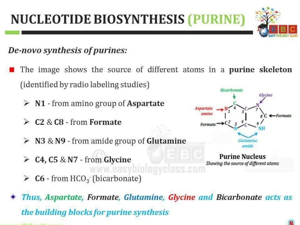 slide17