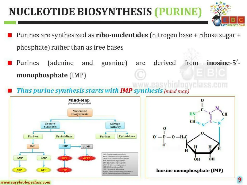 slide18