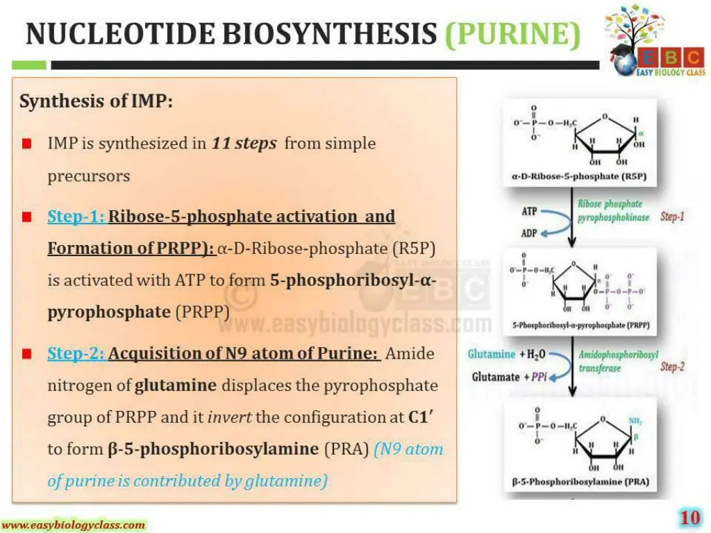 slide19