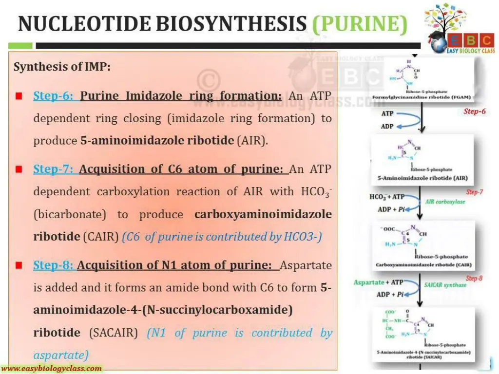 slide21