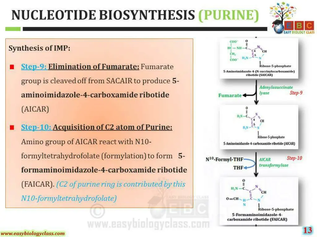 slide22