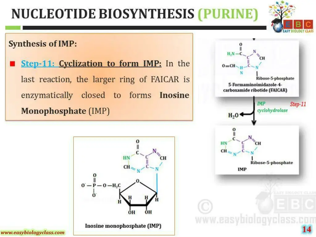 slide23