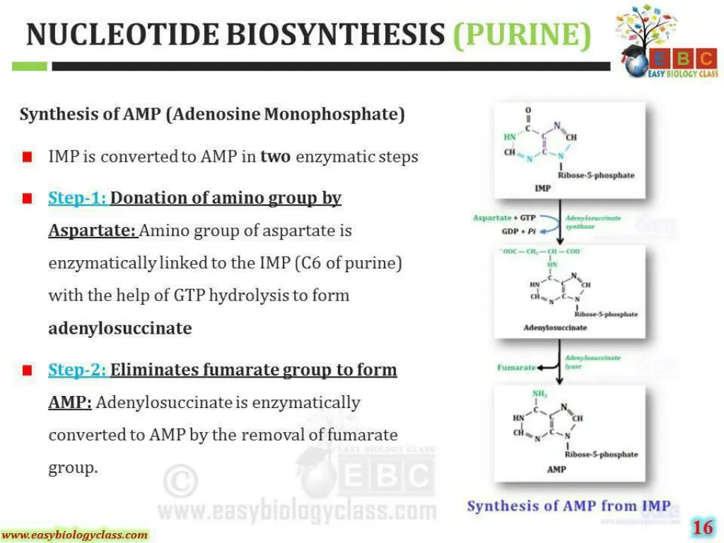 slide25