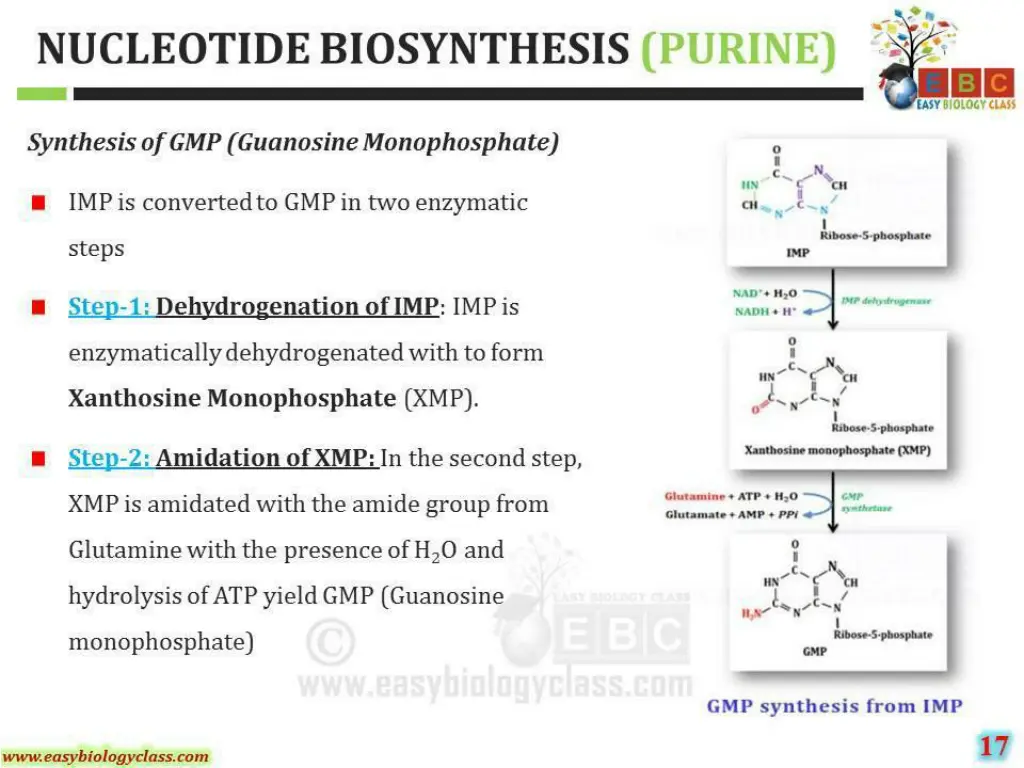 slide26