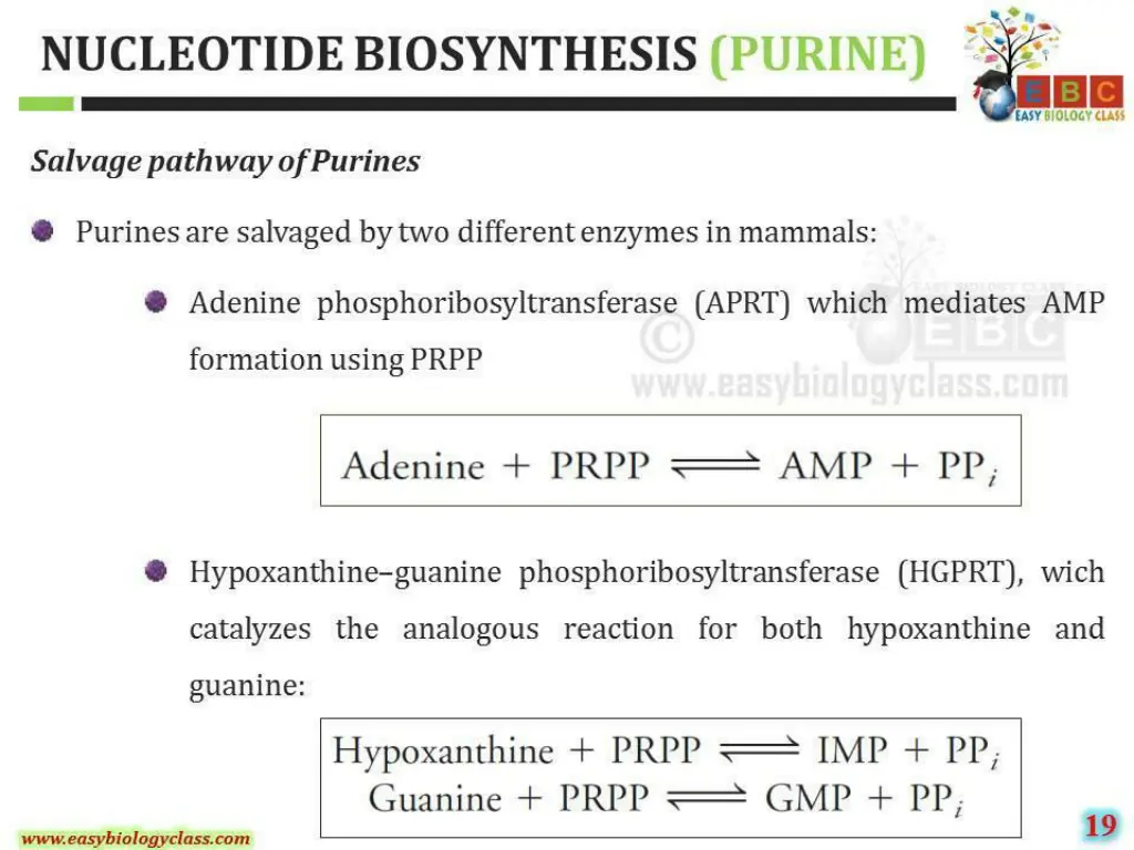 slide28