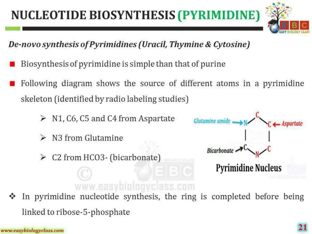 slide30