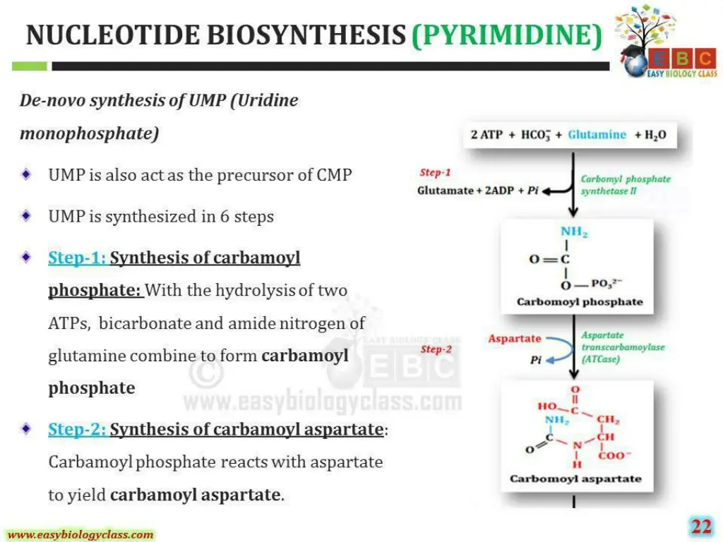 slide31