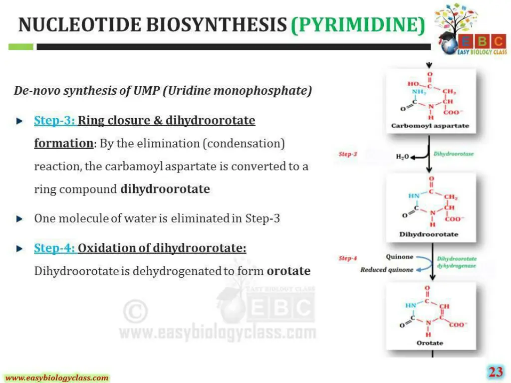 slide32