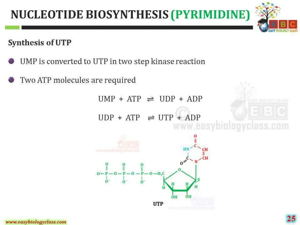 slide34