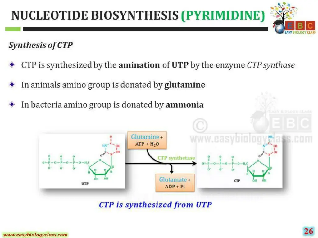 slide35