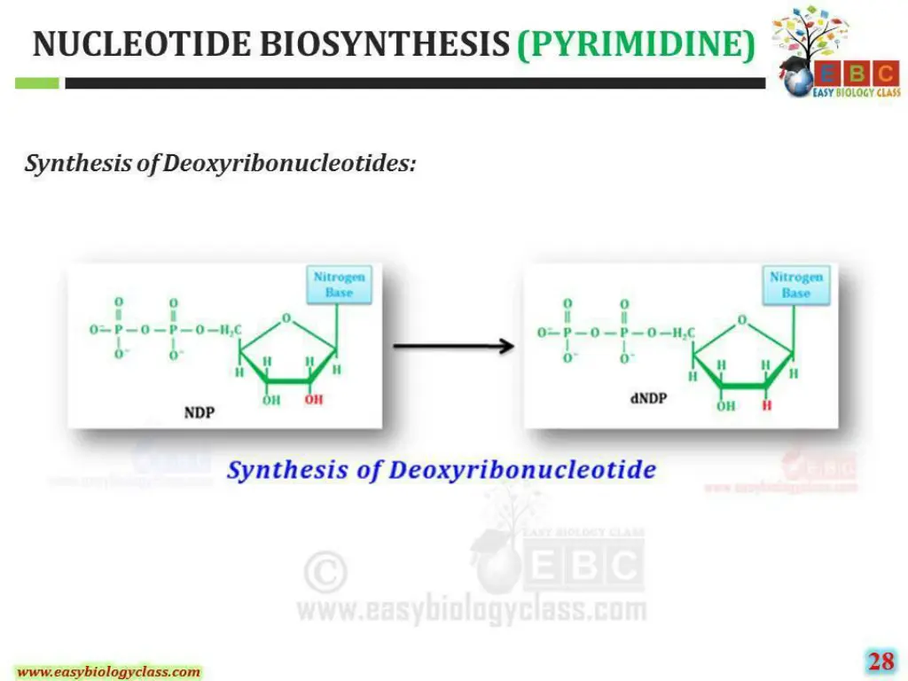 slide37