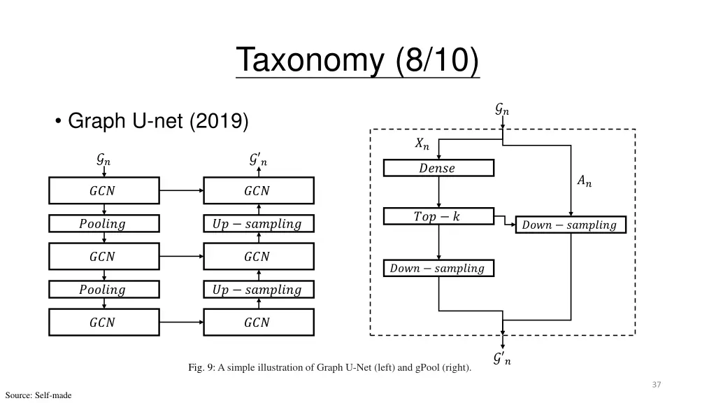 taxonomy 8 10