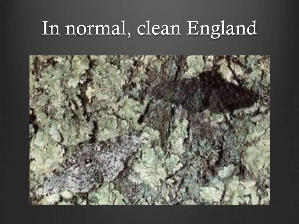 in normal clean england