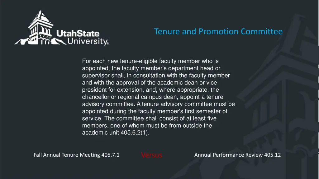 tenure and promotion committee