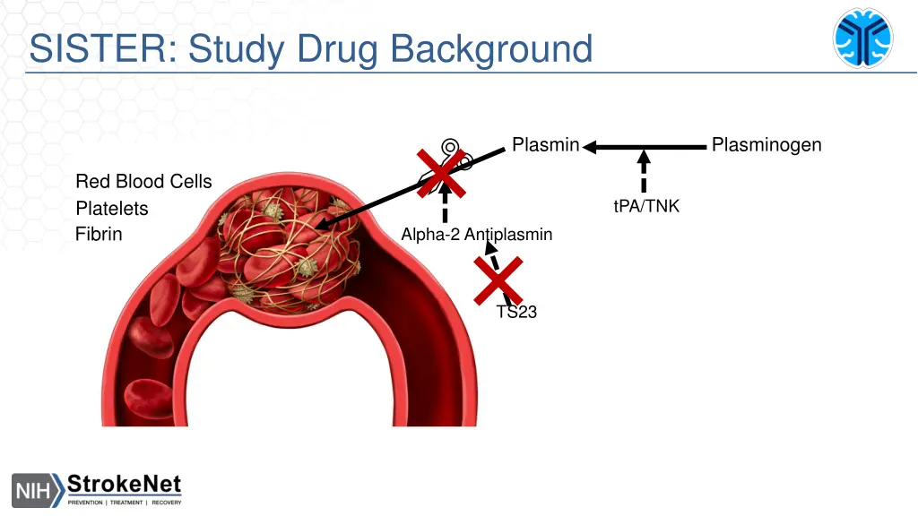 sister study drug background