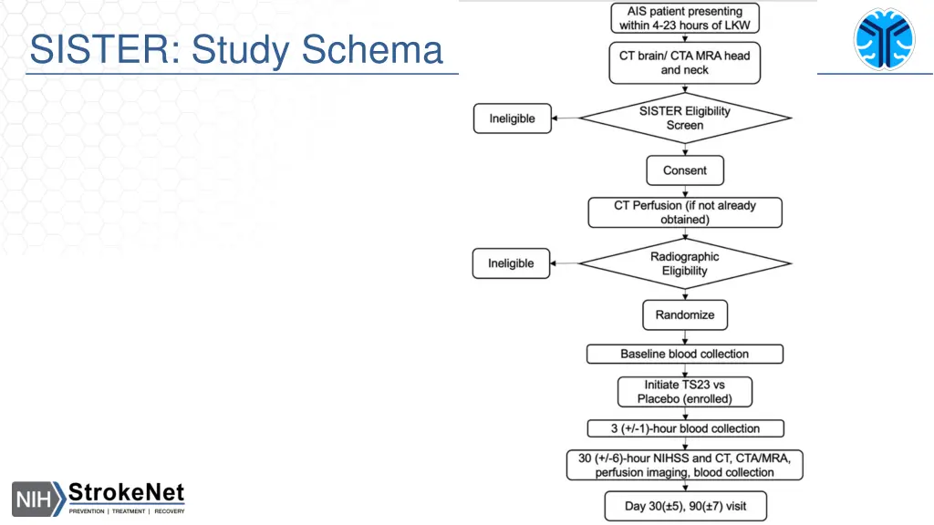 sister study schema