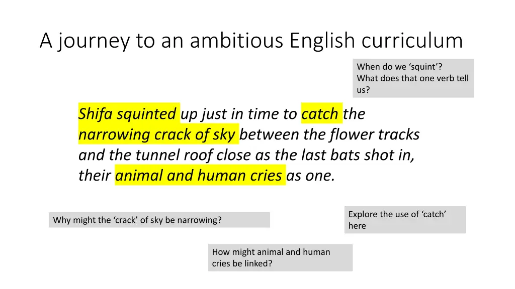a journey to an ambitious english curriculum