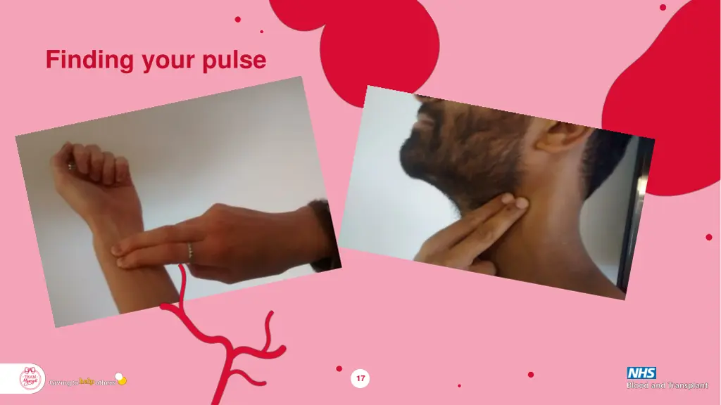 finding your pulse