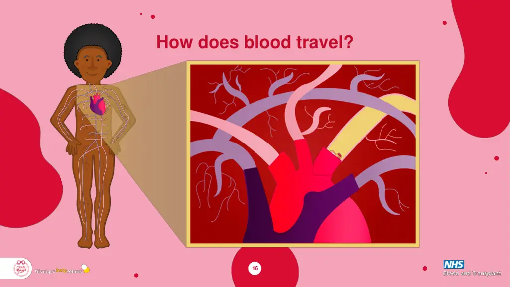 how does blood travel