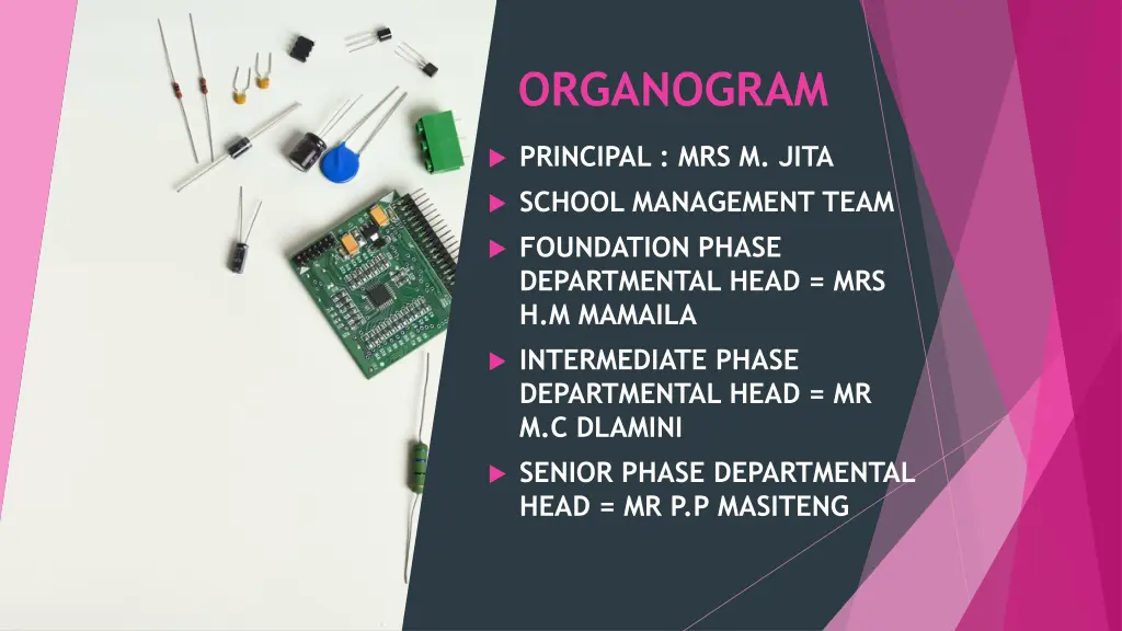 organogram