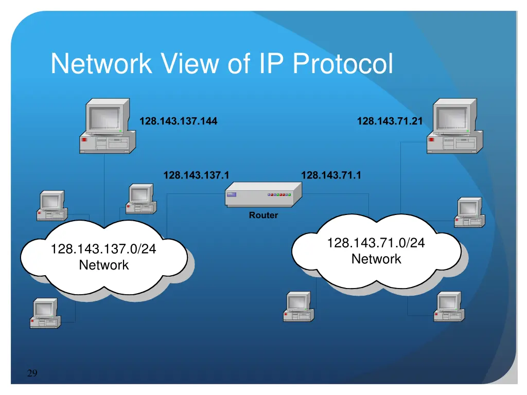 network view of ip protocol