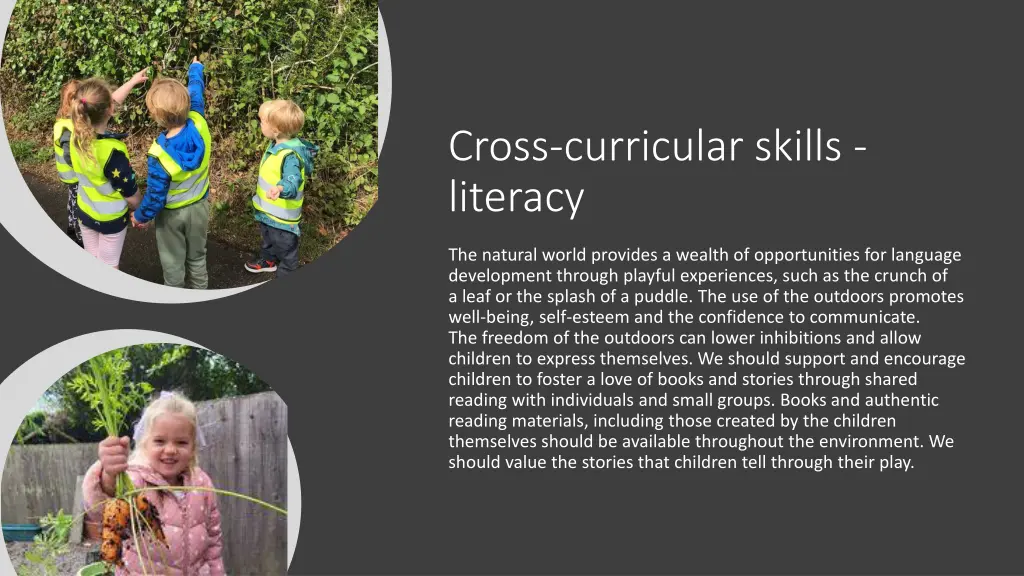 cross curricular skills literacy 1