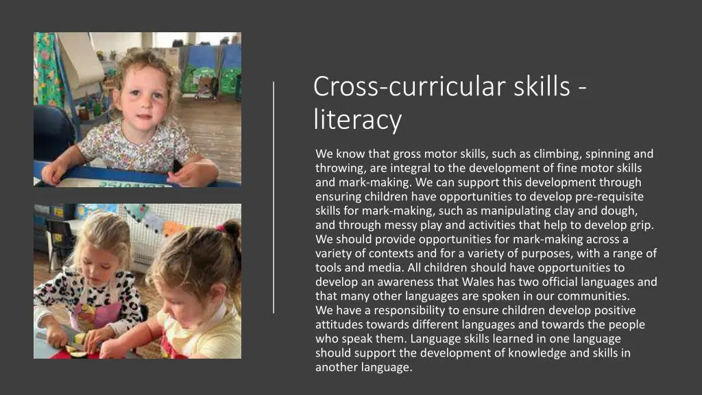 cross curricular skills literacy 2