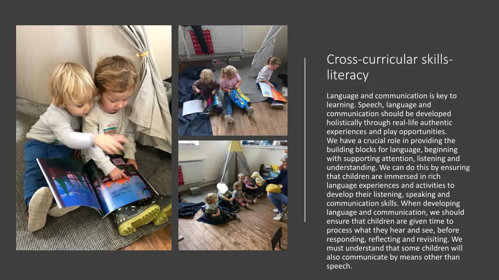 cross curricular skills literacy