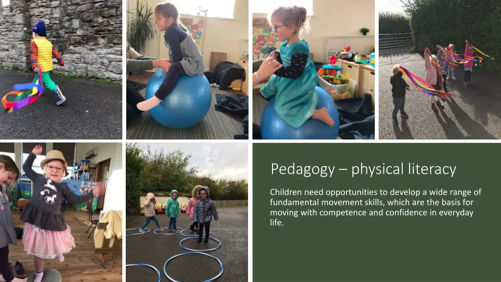 pedagogy physical literacy 1