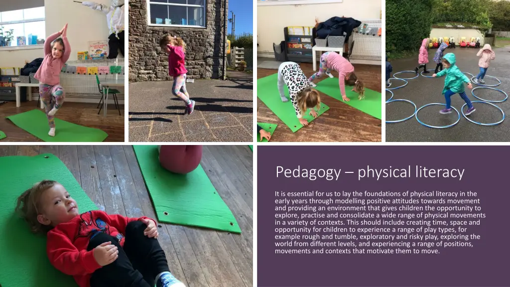 pedagogy physical literacy 2