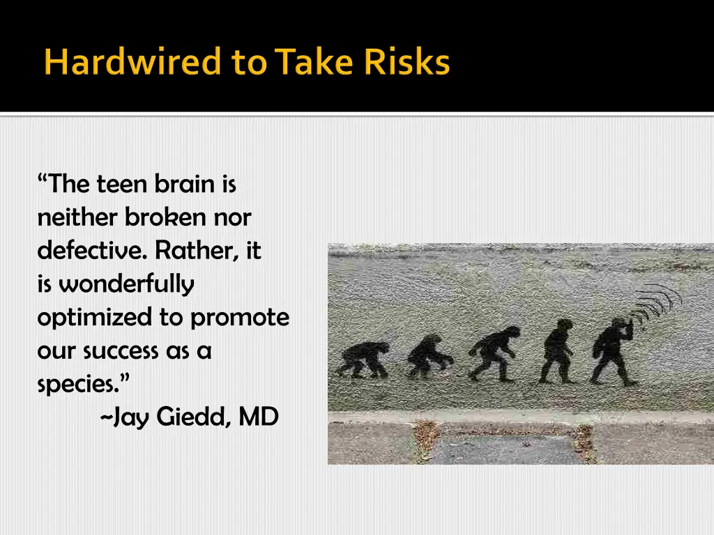 the teen brain is neither broken nor defective