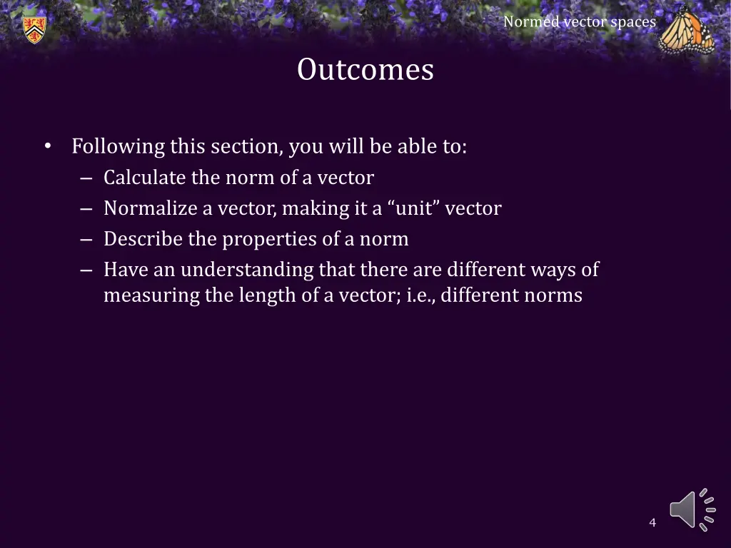 normed vector spaces 2