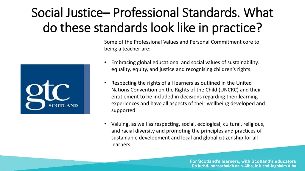 social justice social justice professional