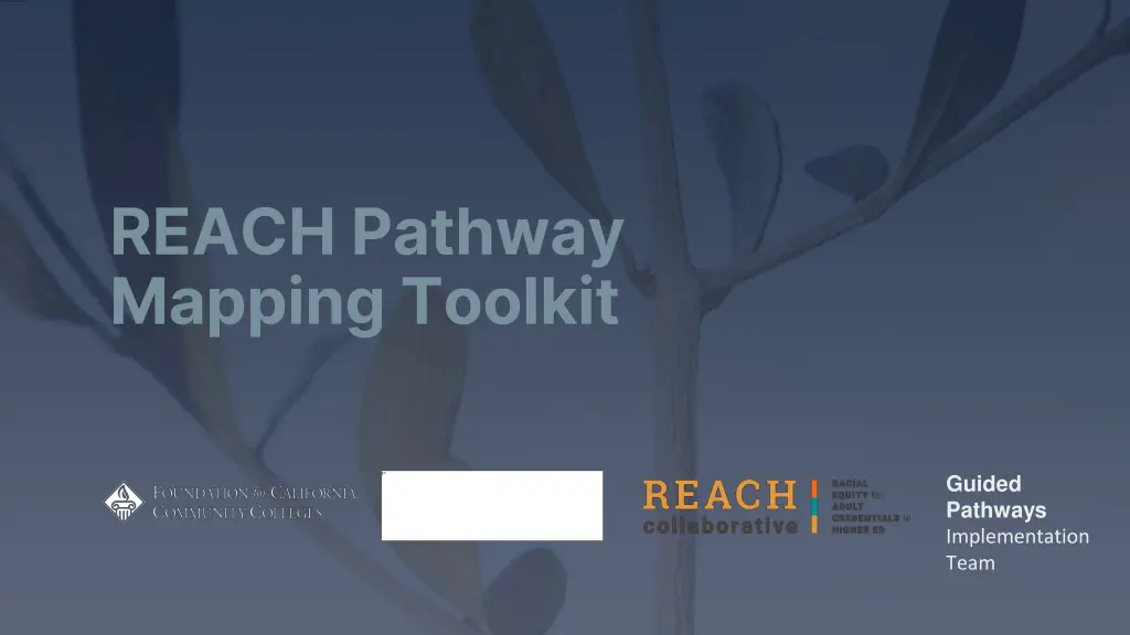 reach pathway mapping toolkit 1