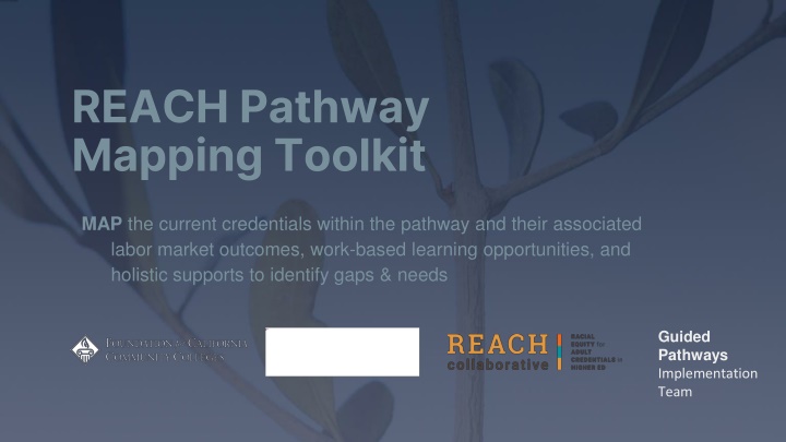 reach pathway mapping toolkit