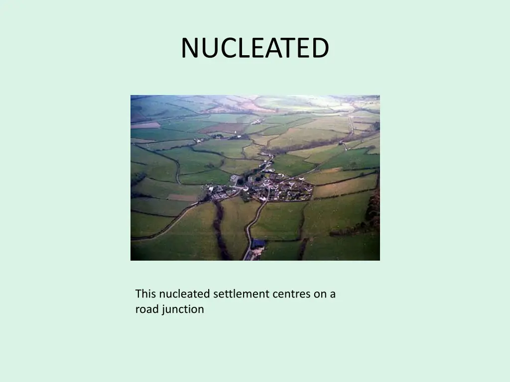 nucleated