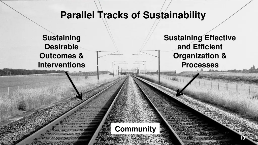 parallel tracks of sustainability