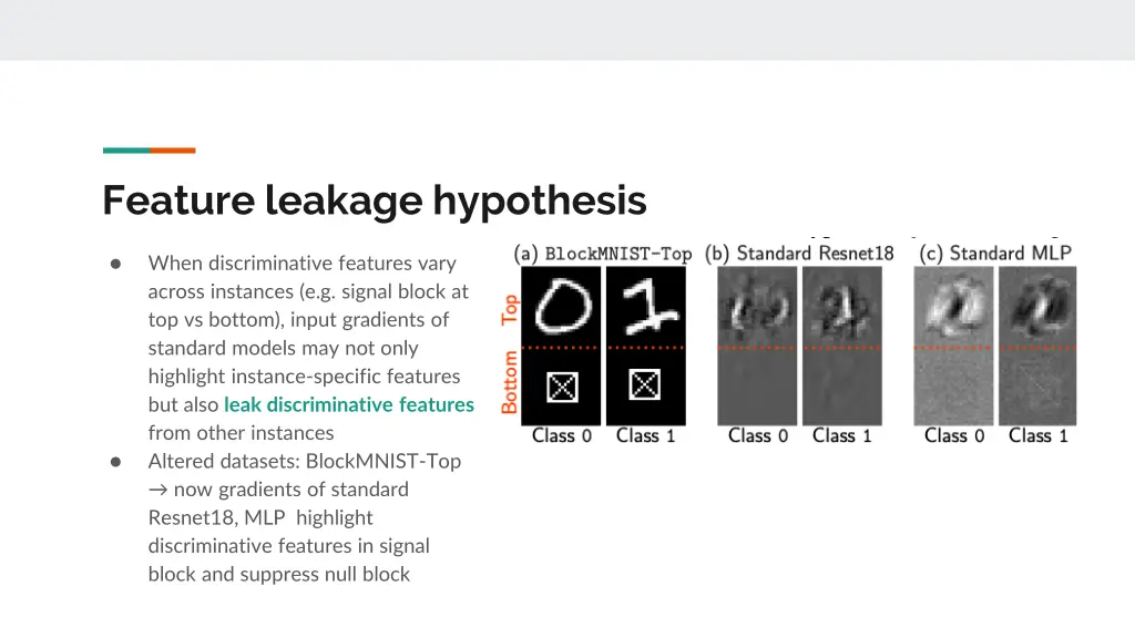 feature leakage hypothesis