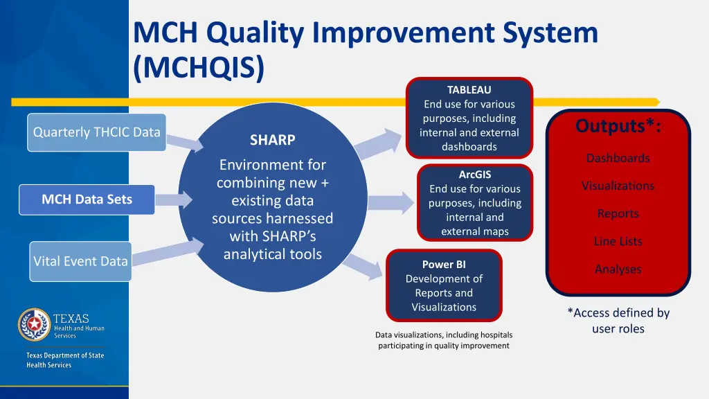 mch quality improvement system mchqis