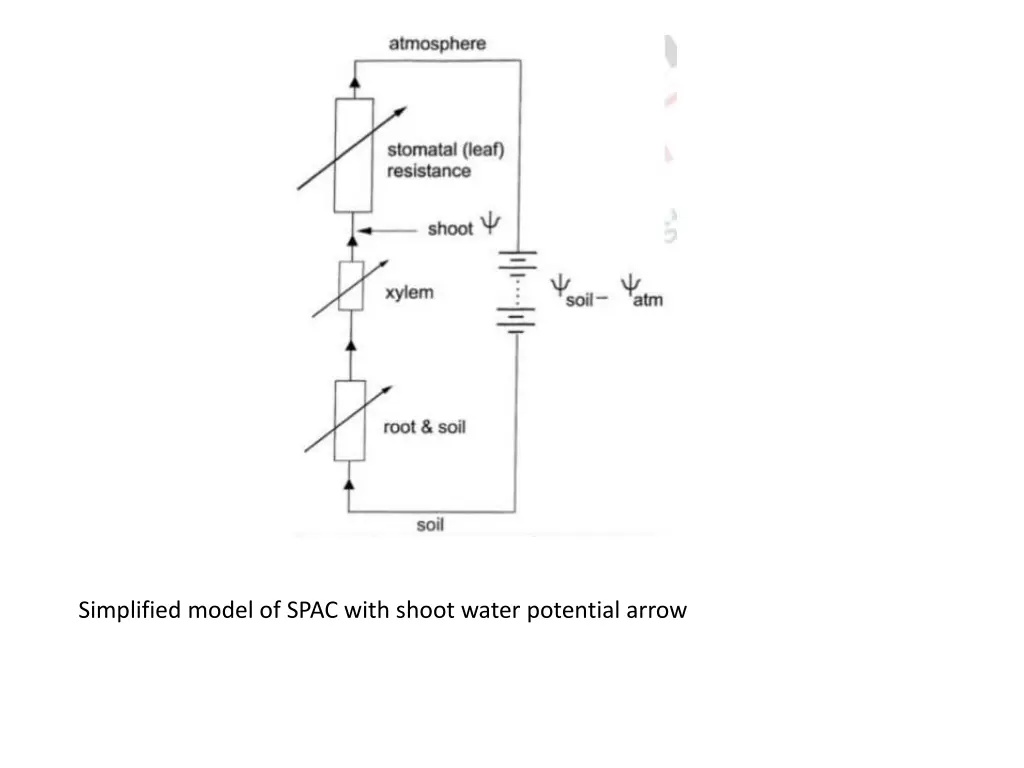 simplified model of spac with shoot water